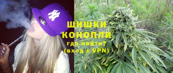 твердый Богданович