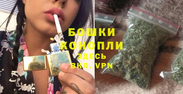 твердый Богданович