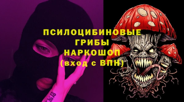 мдпв Бугульма