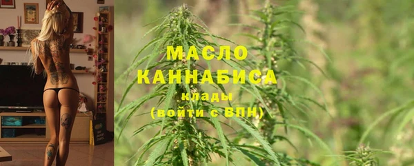 твердый Богданович